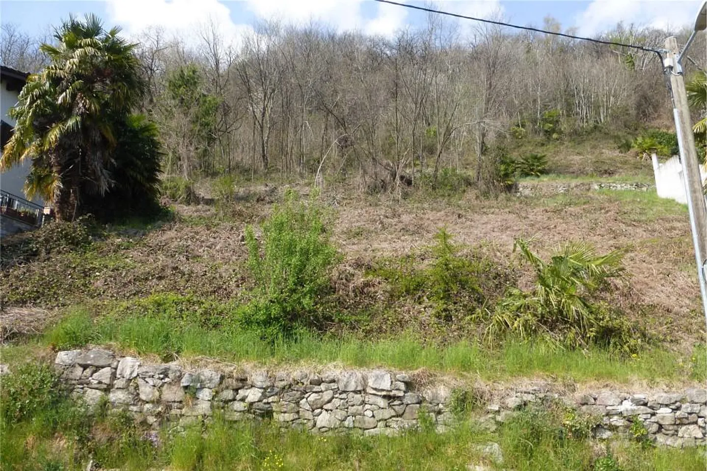 Terreno con vista lago - Foto 6 di 12