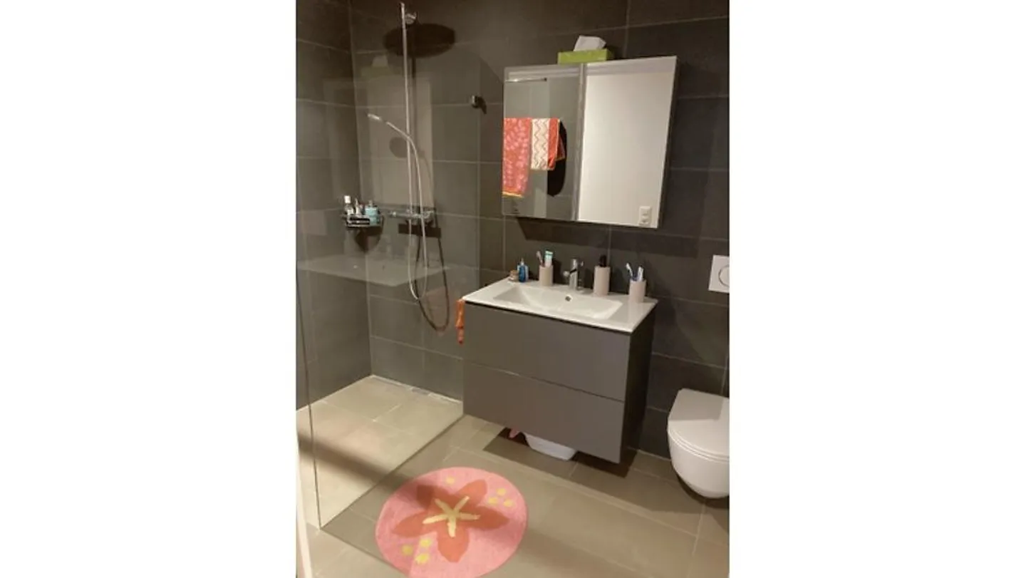 3½ ROOM APARTMENT IN WORBLAUFEN (BE), FURNISHED, TEMPORARY - Photo 6 of 10