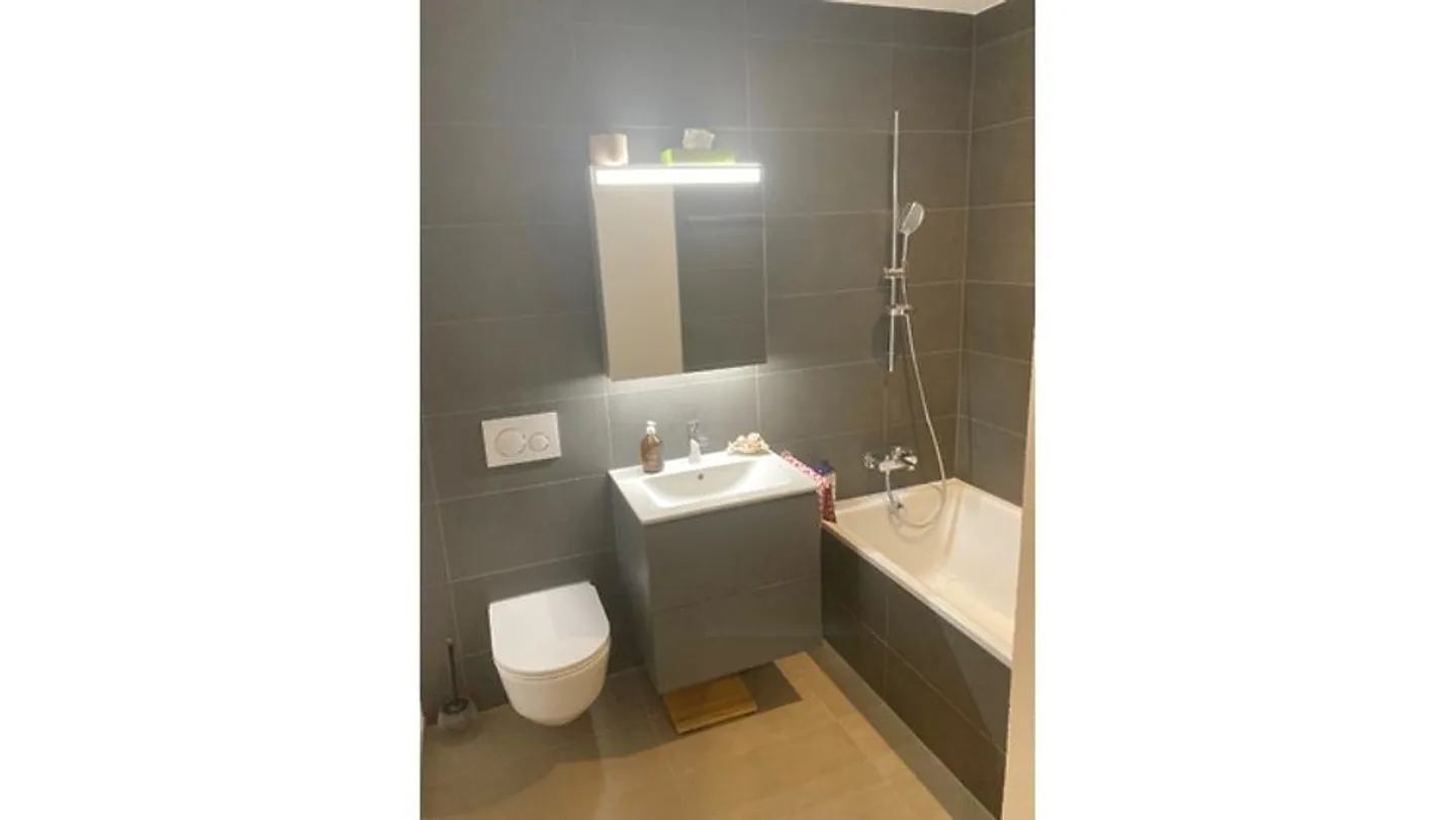 3½ ROOM APARTMENT IN WORBLAUFEN (BE), FURNISHED, TEMPORARY - Photo 7 of 10