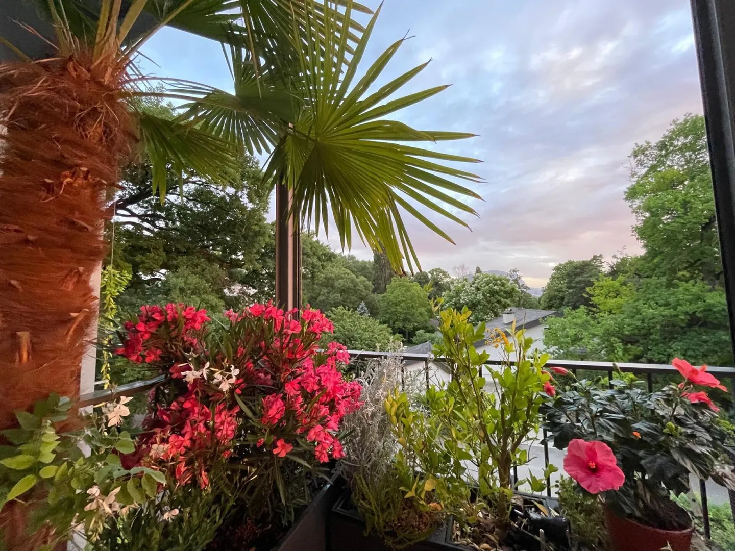 Appartamento eccezionale con terrazza panoramica e vista sul Giura a Presinge - Foto 18 di 21
