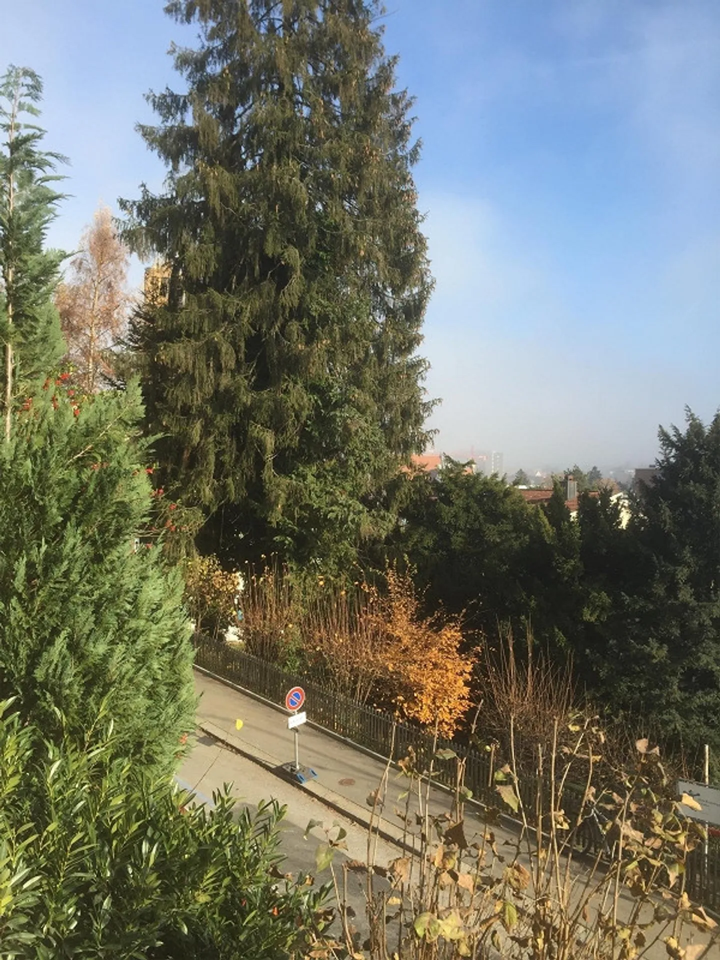 Grosszügige Stadtwohnung mit Balkonen - Foto 5 von 27