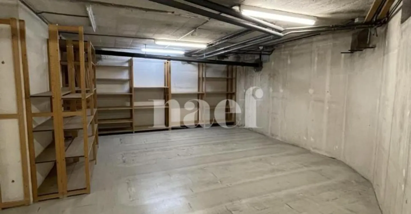 Modular commercial space in the heart of Neuchâtel - 3 usable levels - Photo 8 of 8
