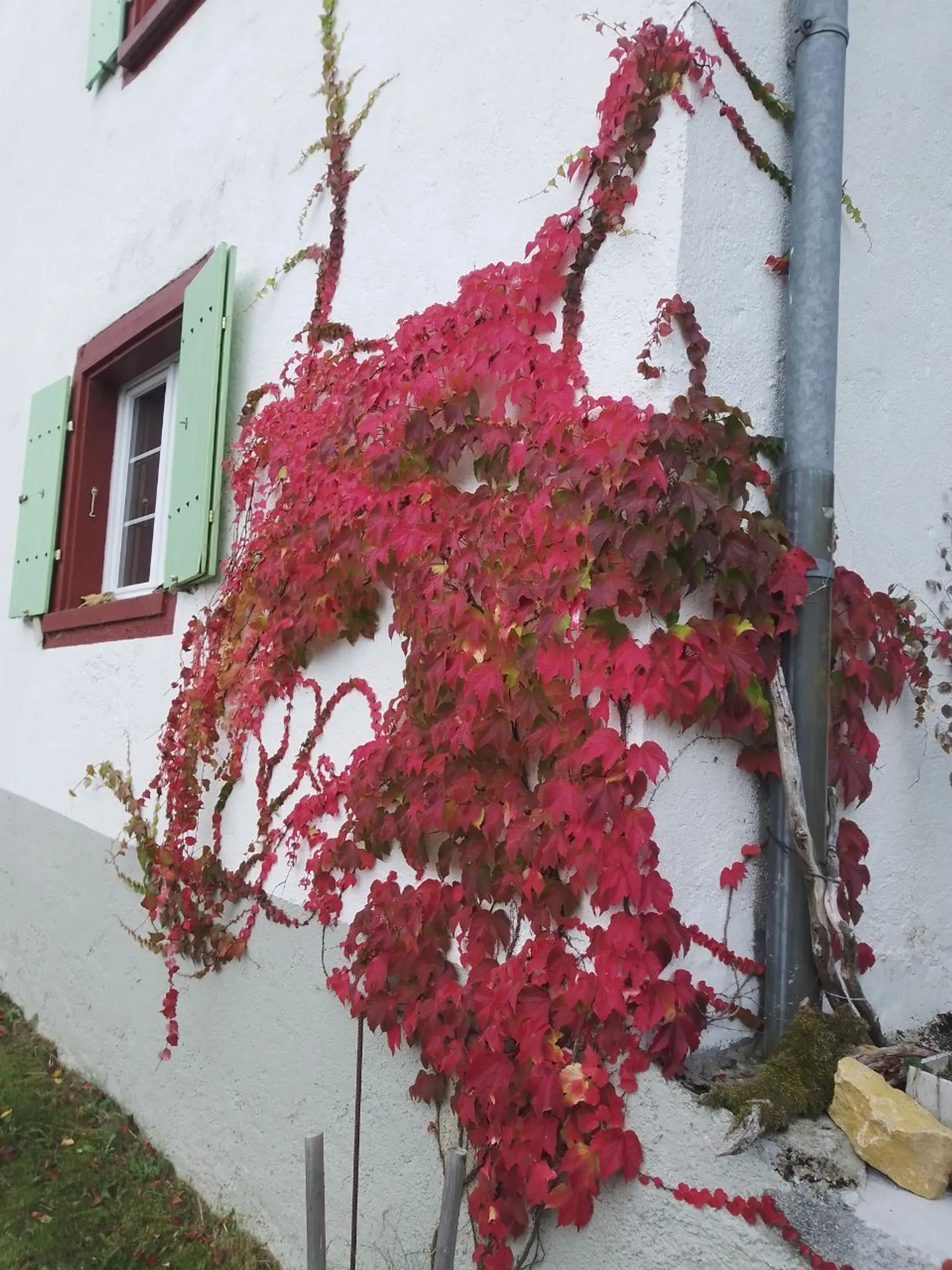 Maison Charmante à Montfavergier - Photo 15 sur 18