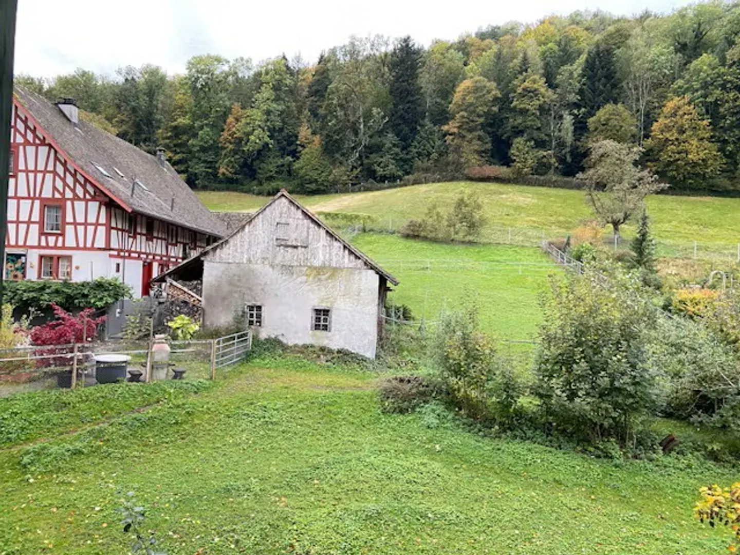 Affittare un appartamento di 2 ½ stanze a Langnau am Albis - Foto 10 di 10