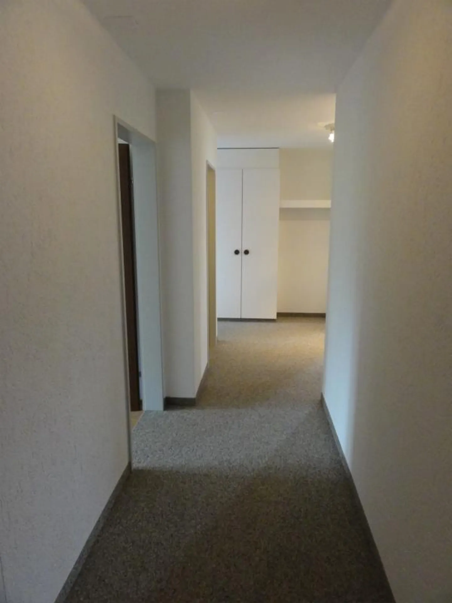 Spacious 4.5-room apartment in a quiet location on the edge of the village - Photo 10 of 15