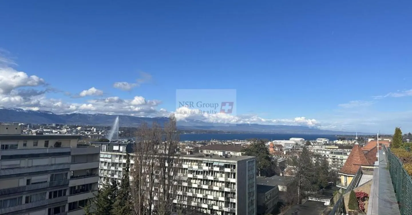 Malagnou - Appartamento ristrutturato di 5 stanze in una residenza con piscine - Foto 1 di 2