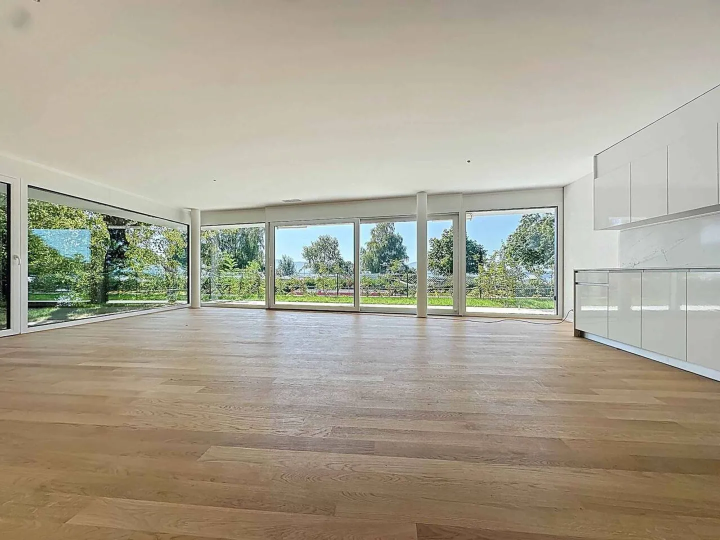 Appartamento straordinario di 5,5 stanze al piano terra con terrazza e giardino privato con vista sul lago - Foto 3 di 13