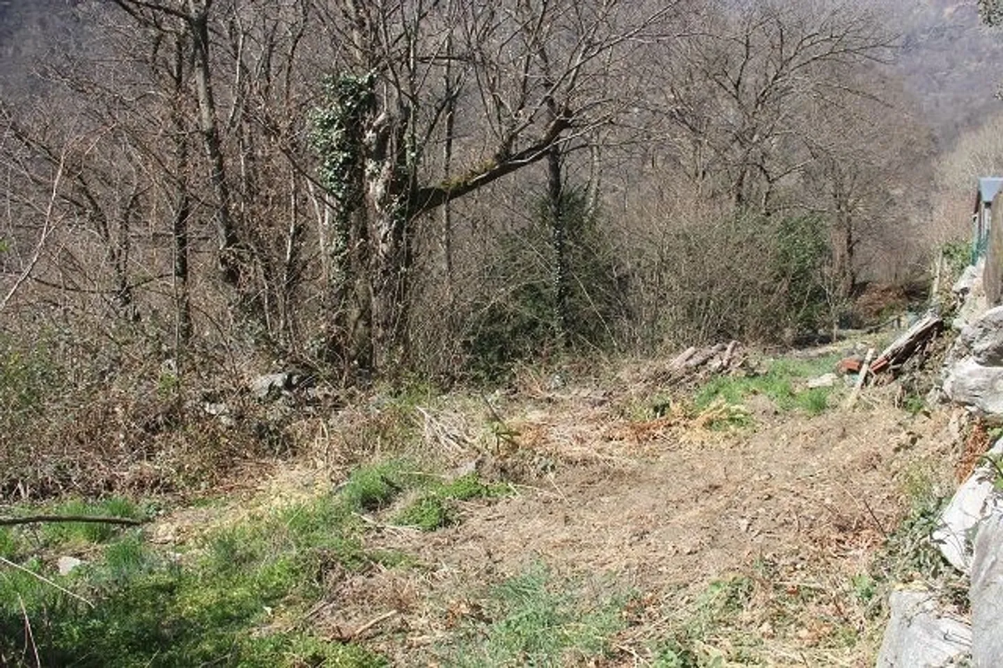 eben, ruhig und sonnig mit Zufahrt - Foto 2 von 5