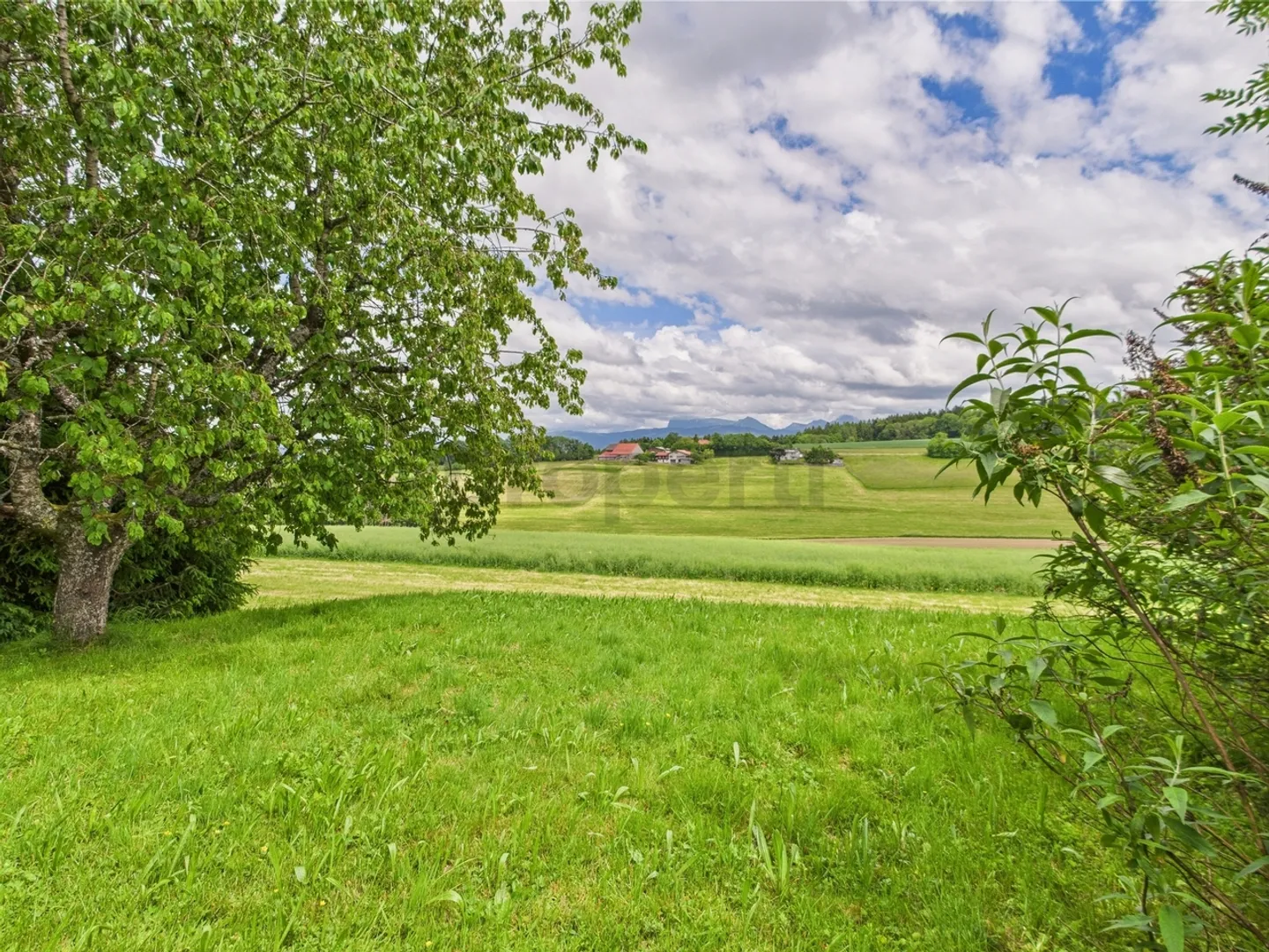 Grande maison individuelle avec appartement indépendant, jardin et vue dégagée - Photo 11 sur 12