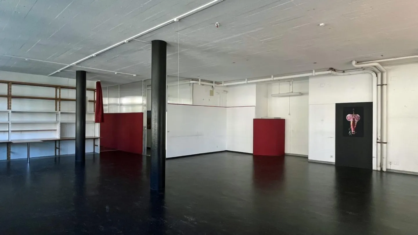 Spazio commerciale vicino Allmend a Lucerna - per le tue idee! - Foto 3 di 9