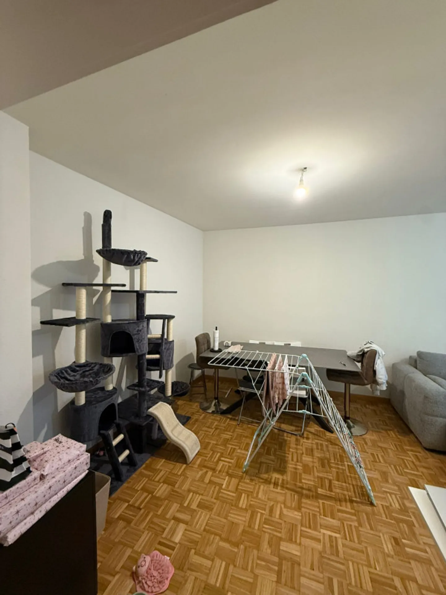 Appartamento in affitto - Foto 3 di 12