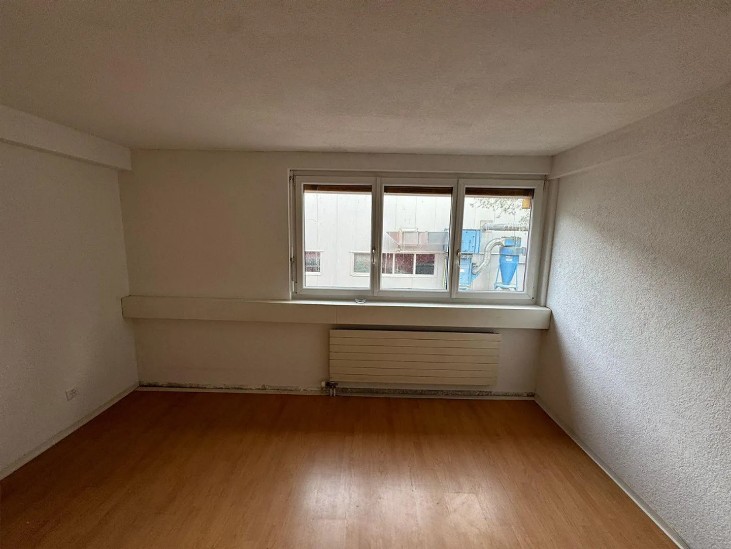 Vielseitige Nutzung in Lausen - Foto 7 von 7