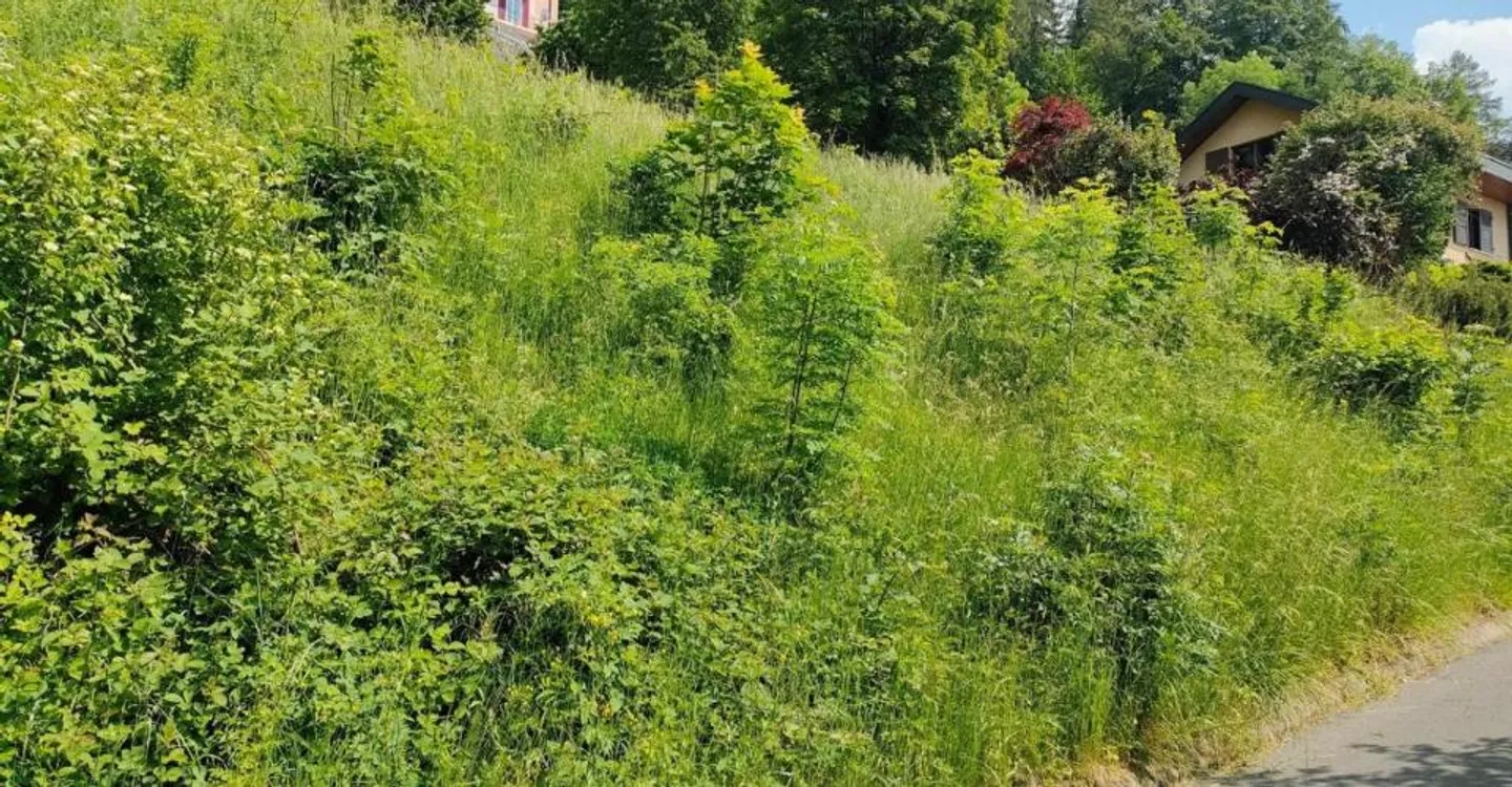 Plot with building permit and project for a single-family villa - Photo 5 of 5