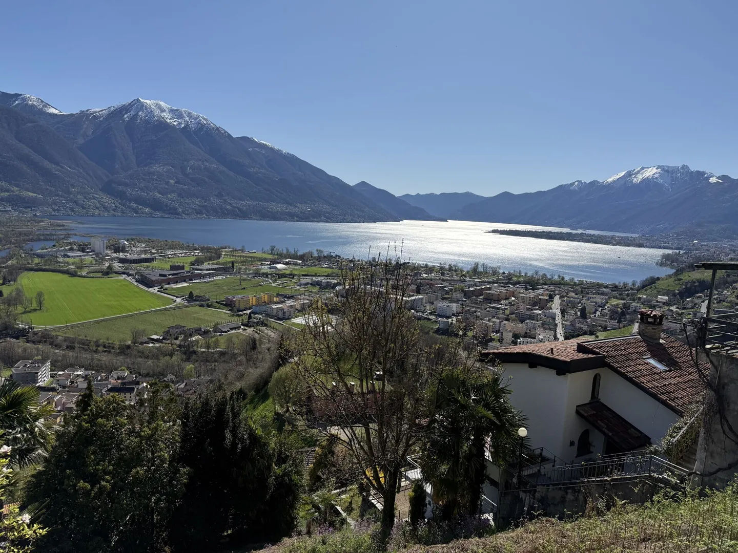 Gordola - Baugrundstück - Foto 2 von 8