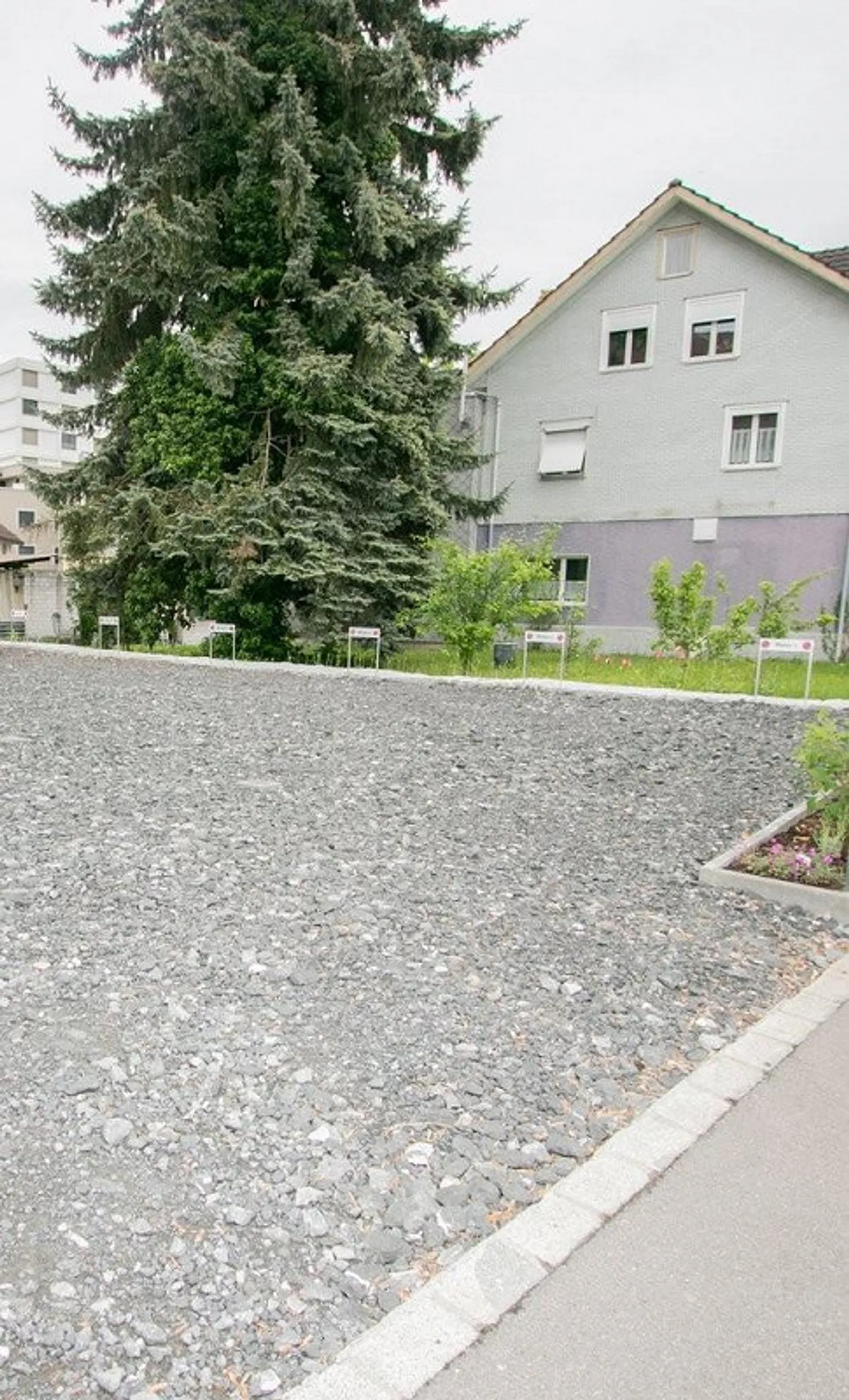 Free parking spaces for rent in St. Margrethen - Photo 2 of 2