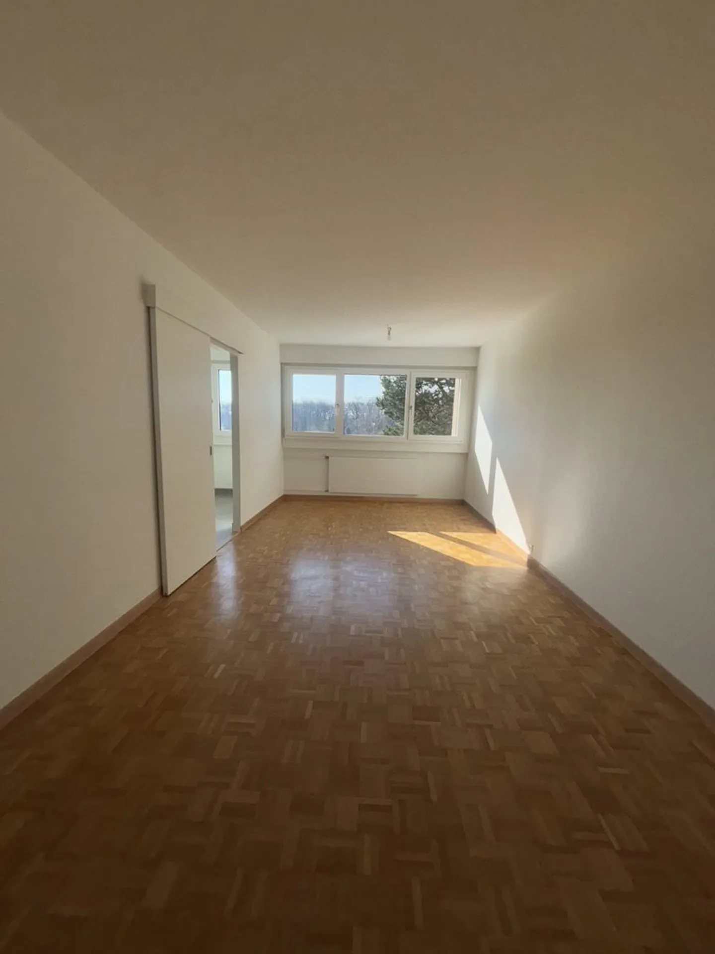 Appartement entièrement rénové à la campagne - Photo 3 sur 5