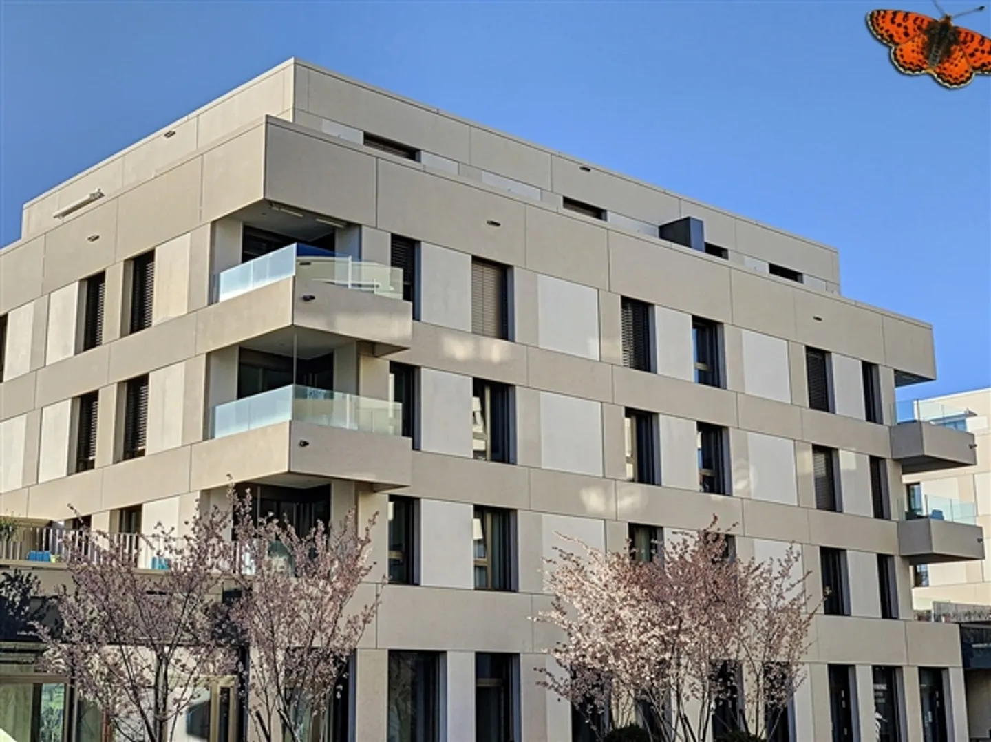 «4 1/2 ZIMMER – In der Nähe aller Annehmlichkeiten!» - Foto 1 von 12