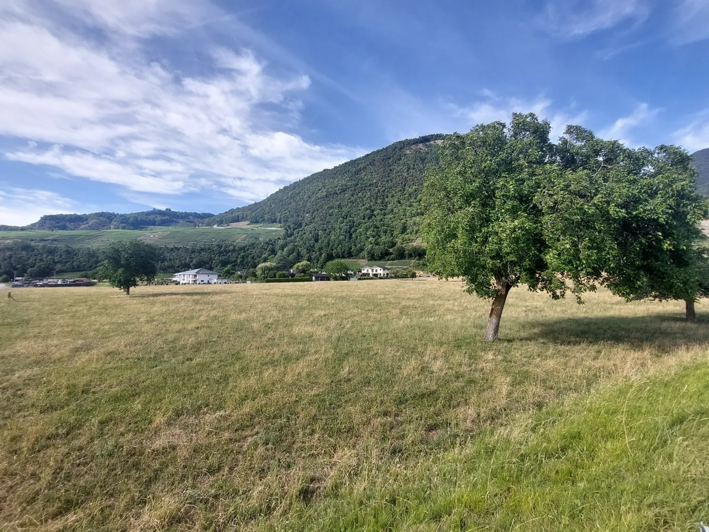 Ihre Doppelhaushälfte im Herzen des Waadtländer Chablais - Eine ist bereits verkauft - Foto 9 von 10