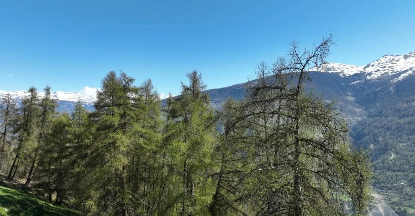 Building Plot with Alpine Views - Photo 4 of 7