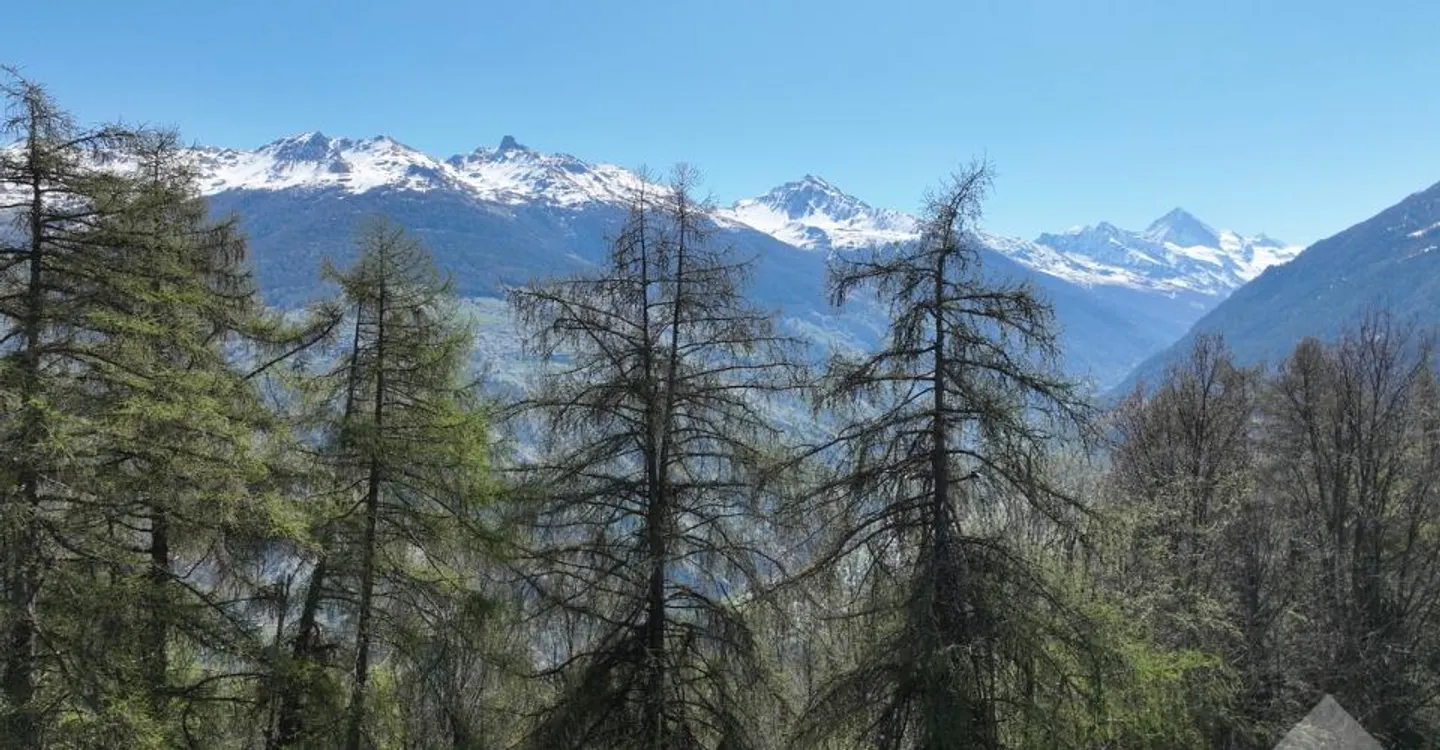 Building Plot with Alpine Views - Photo 7 of 7