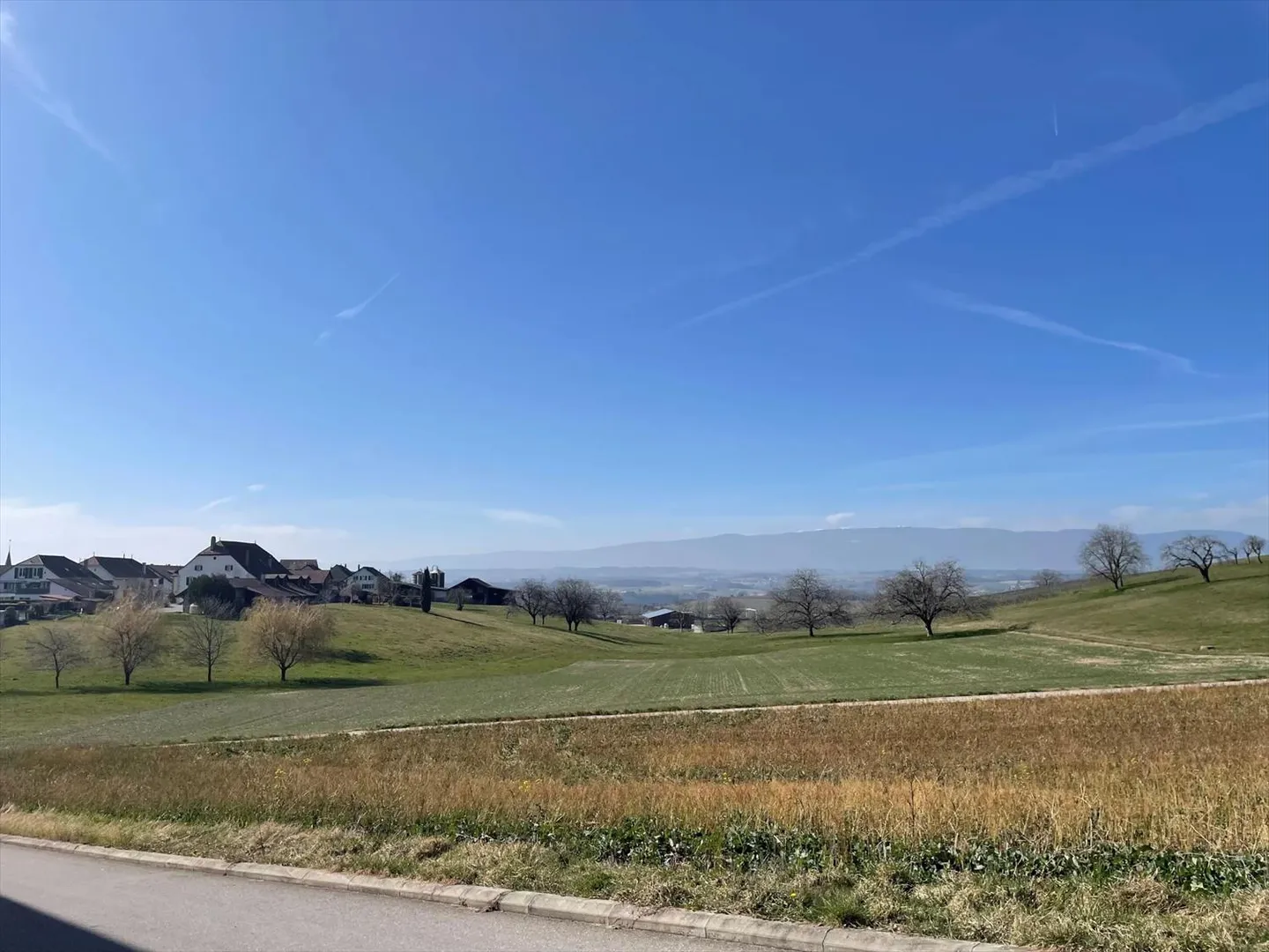 3.5 Room Apartment - Photo 11 of 11