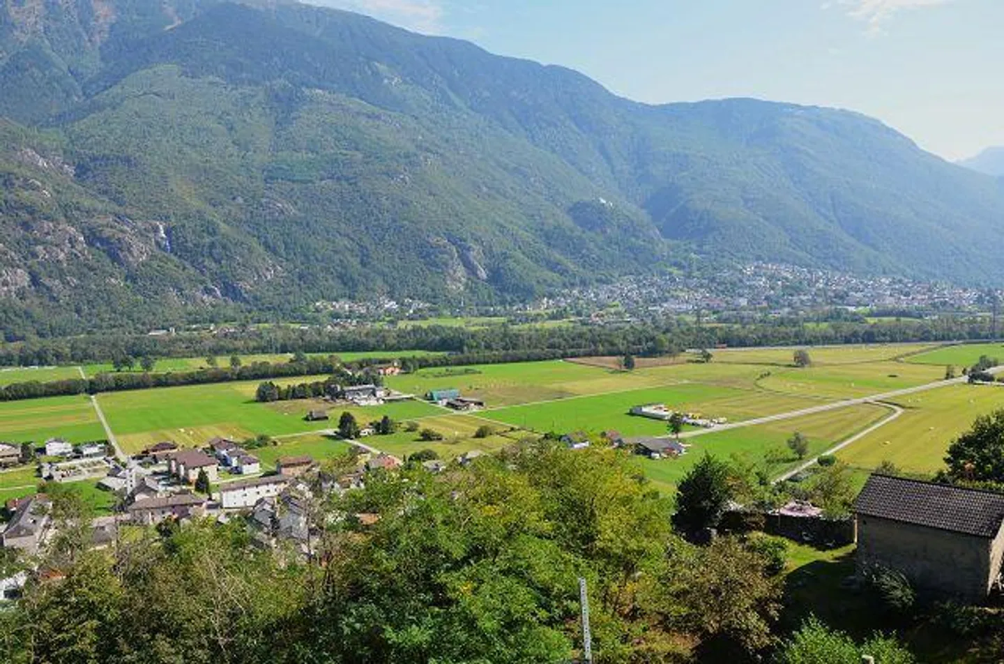 Due stalle da ampliare con vigneto e molto terreno - Foto 10 di 34