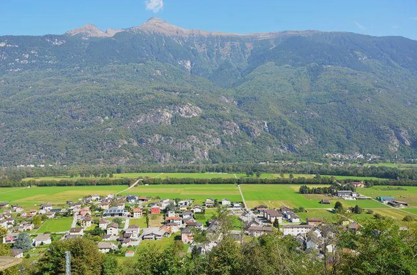Due stalle da ampliare con vigneto e molto terreno - Foto 11 di 34