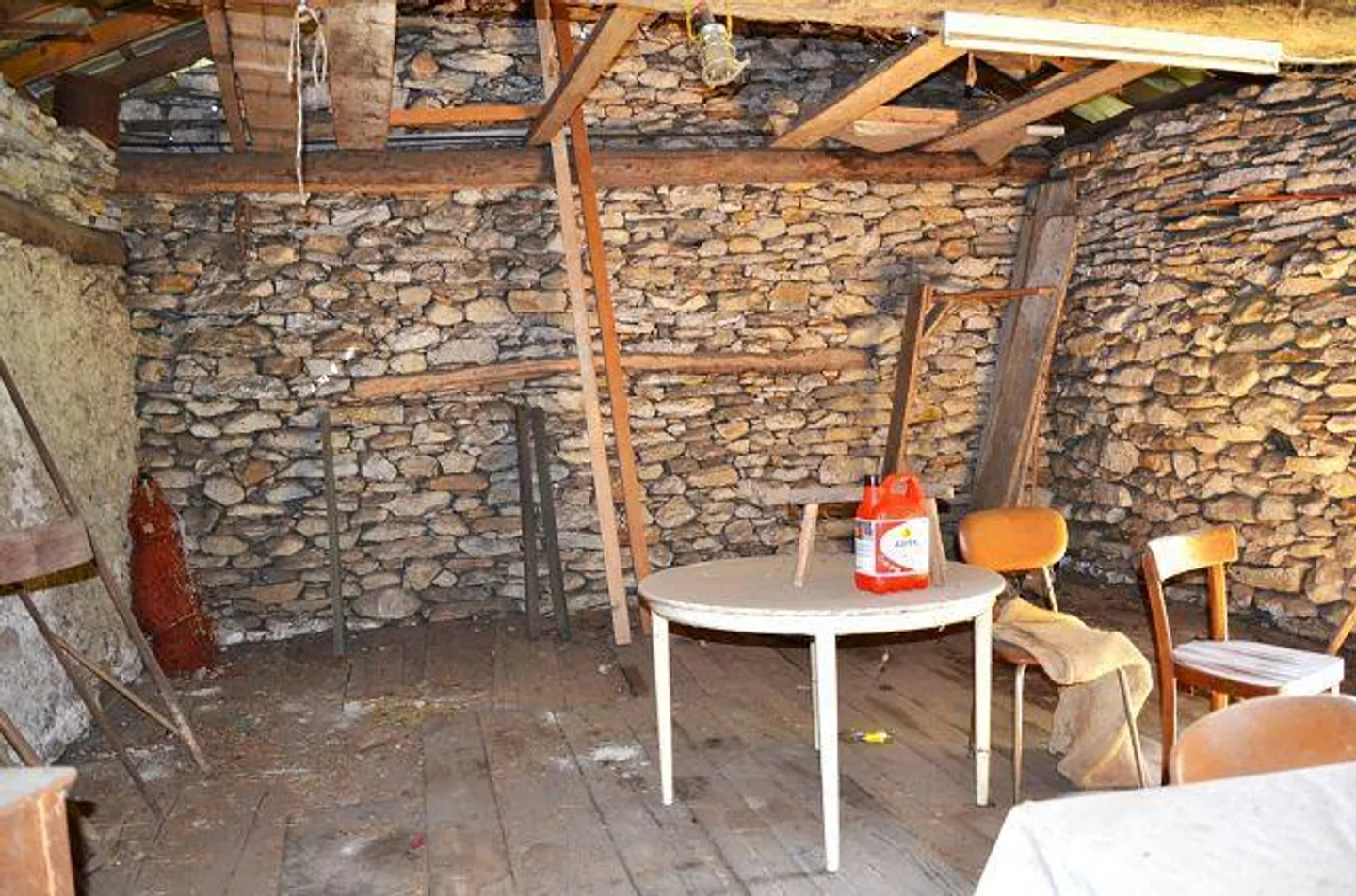 Due stalle da ampliare con vigneto e molto terreno - Foto 6 di 34