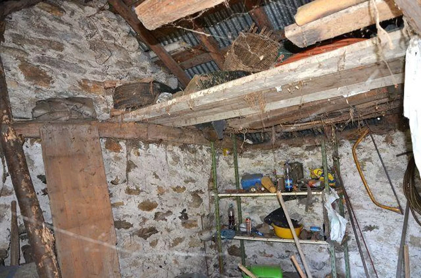Due stalle da ampliare con vigneto e molto terreno - Foto 8 di 34