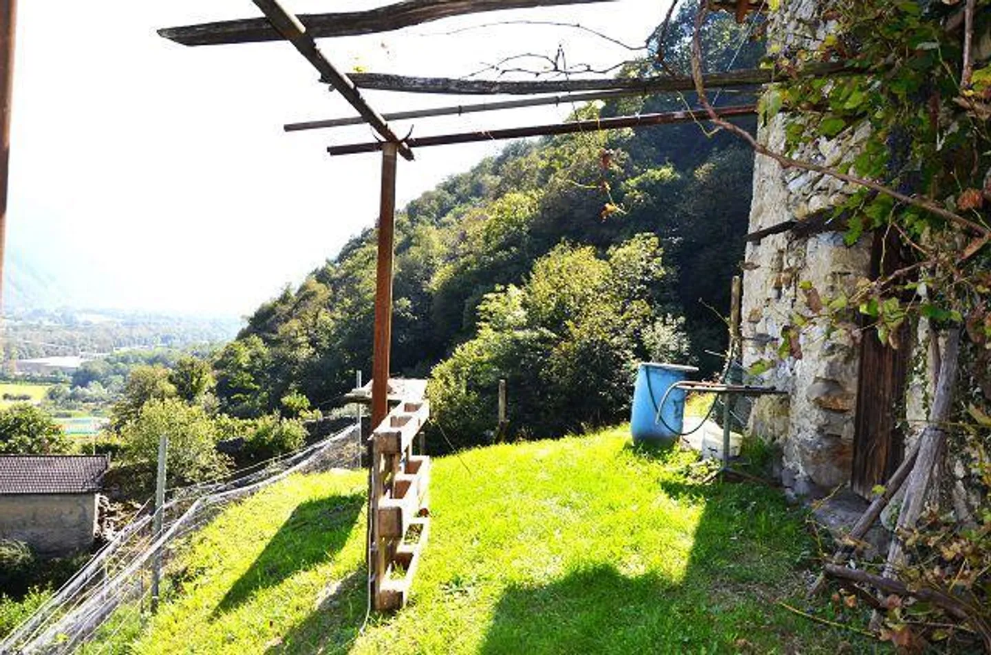Due stalle da ampliare con vigneto e molto terreno - Foto 9 di 34