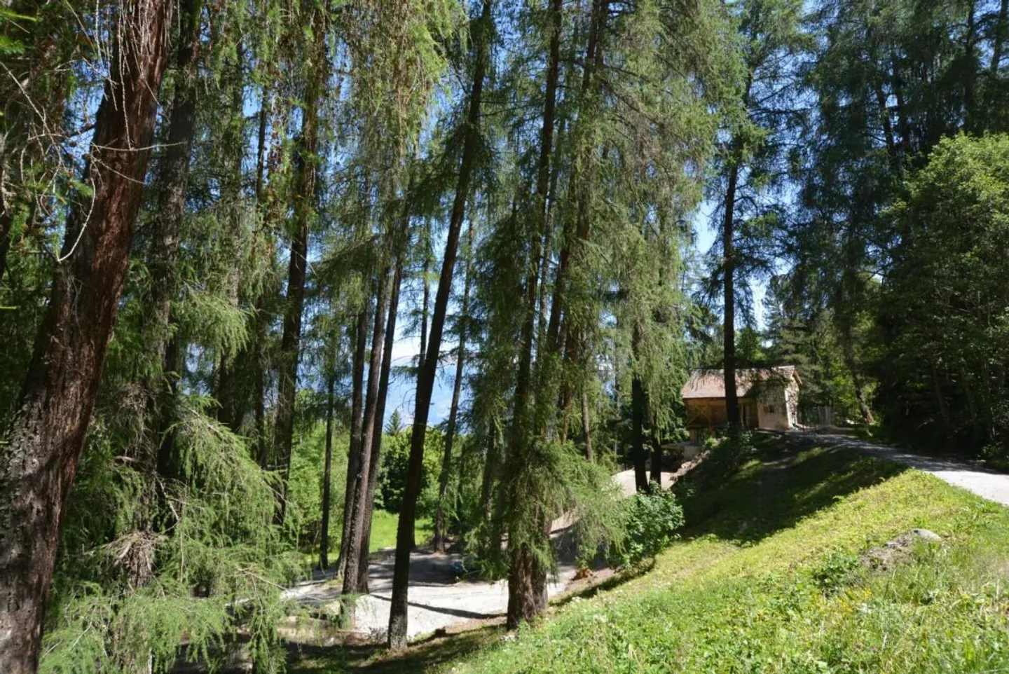 Single house for sale - Photo 9 of 12