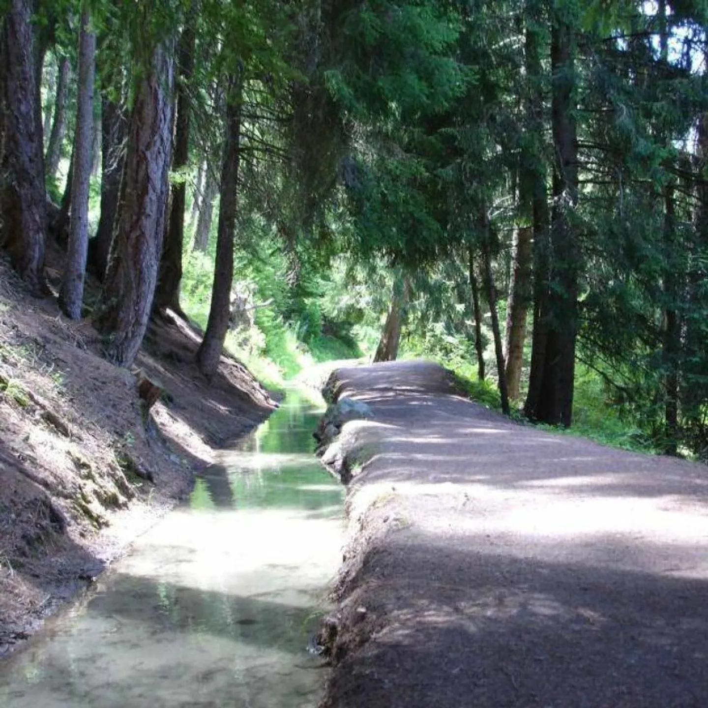 Single house for sale - Photo 5 of 12