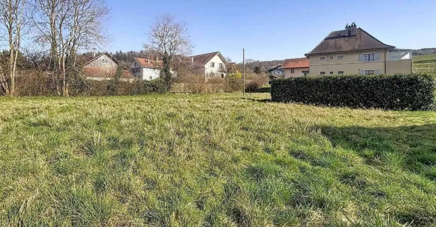 Spacious Family Home with Garden - Photo 4 of 11