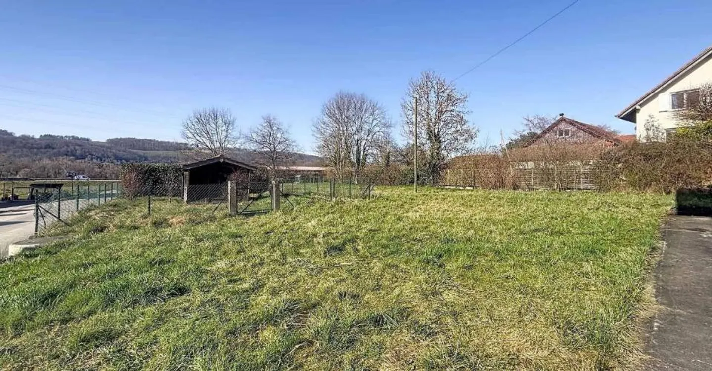 Spacious Family Home with Garden - Photo 5 of 11