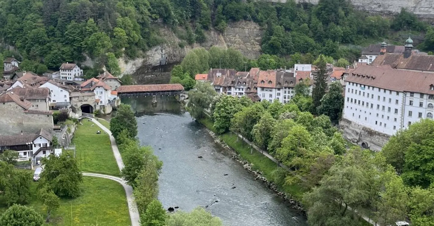 Selten: 2,5 Zimmer in der Unterstadt von Freiburg - Foto 2 von 8