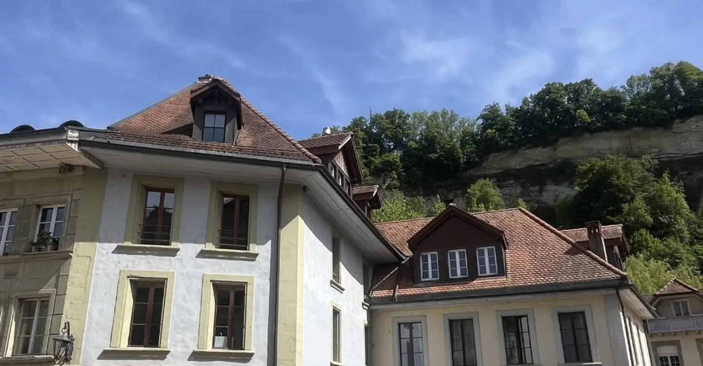 Selten: 2,5 Zimmer in der Unterstadt von Freiburg - Foto 3 von 8