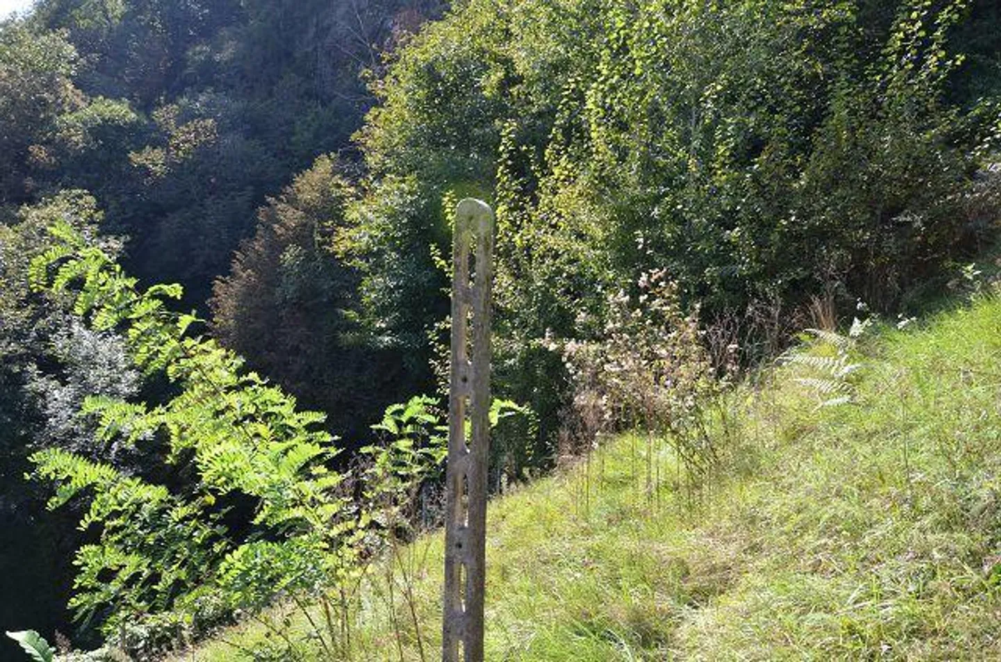 Due stalle da ampliare con vigneto e molto terreno - Foto 19 di 34