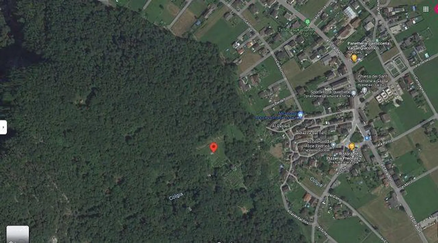 Due stalle da ampliare con vigneto e molto terreno - Foto 20 di 34