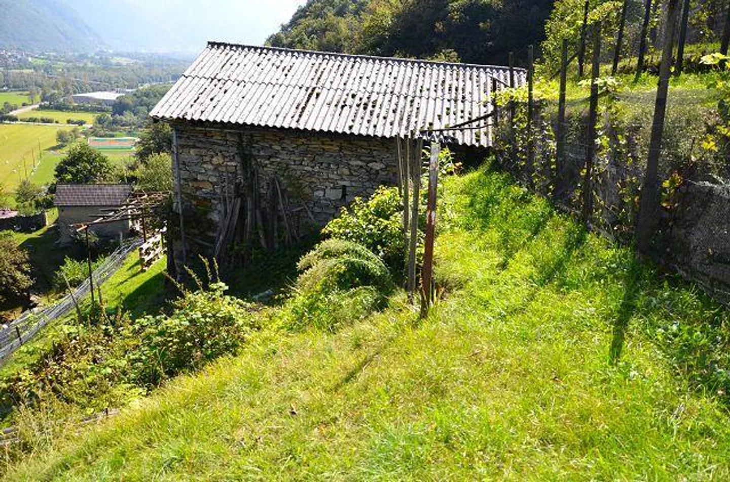 Due stalle da ampliare con vigneto e molto terreno - Foto 23 di 34