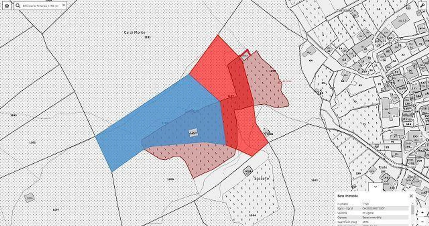 Due stalle da ampliare con vigneto e molto terreno - Foto 21 di 34