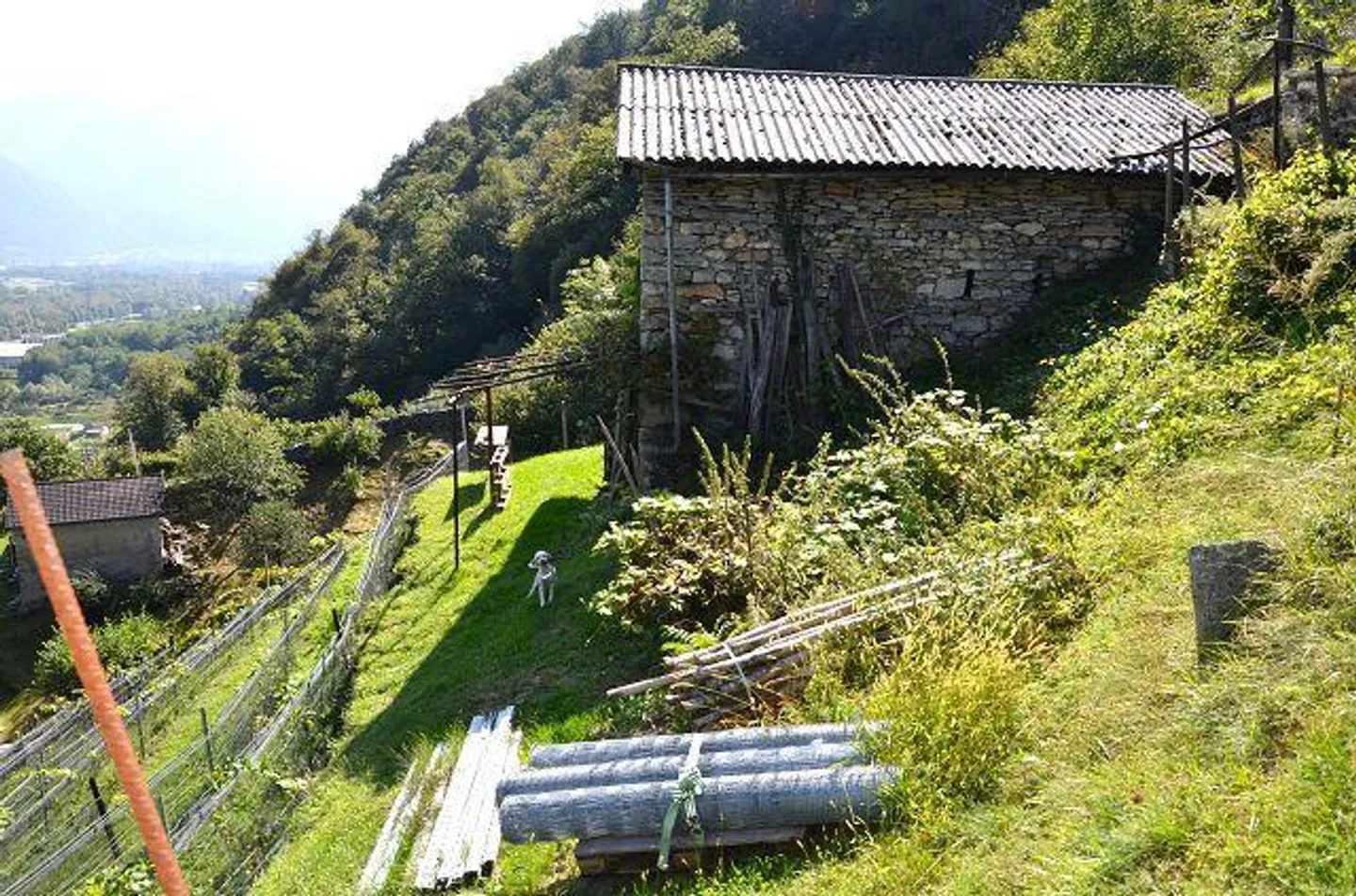 Due stalle da ampliare con vigneto e molto terreno - Foto 25 di 34