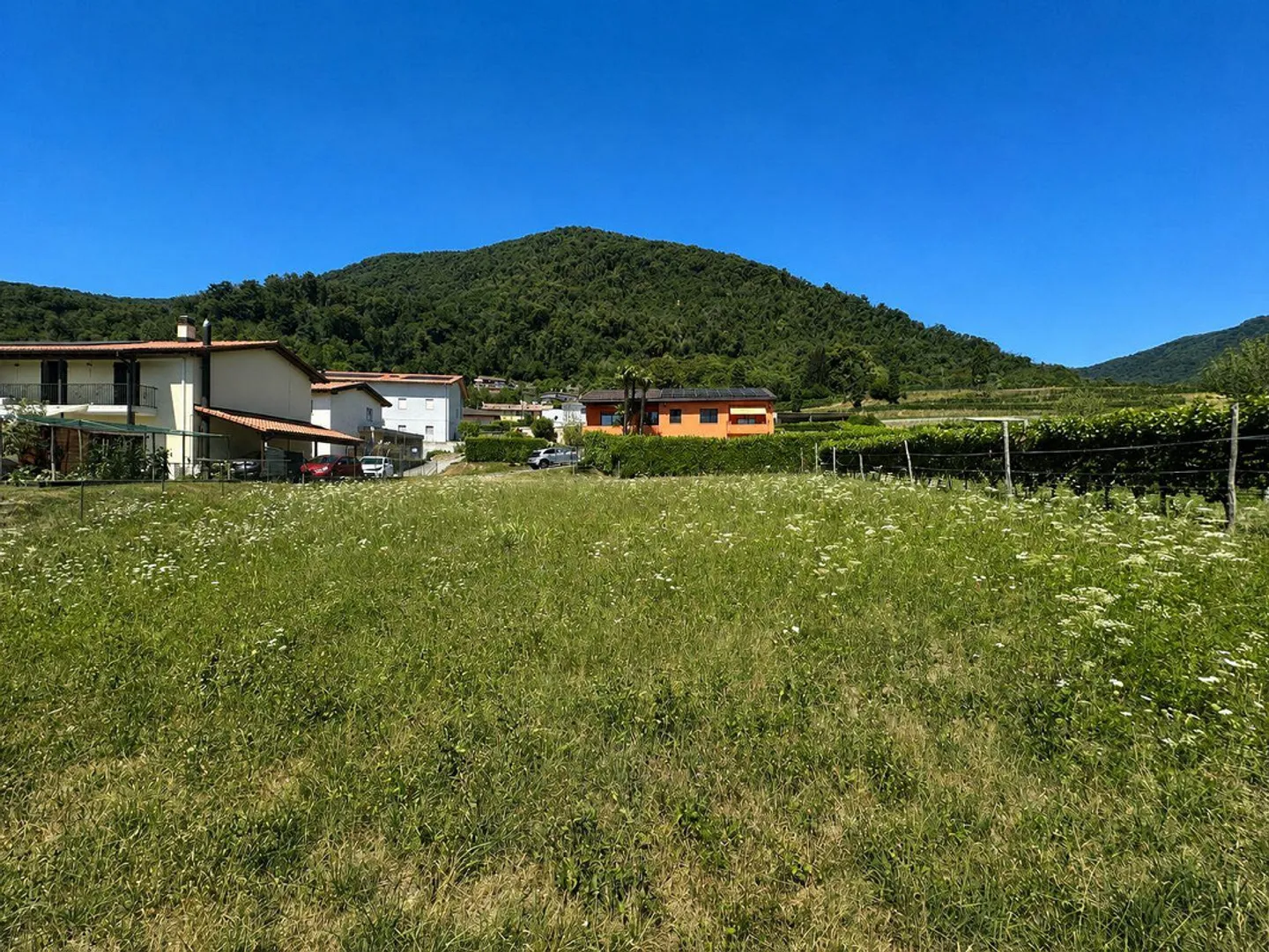 Buildable, flat plot in the green with approved project - Photo 6 of 12