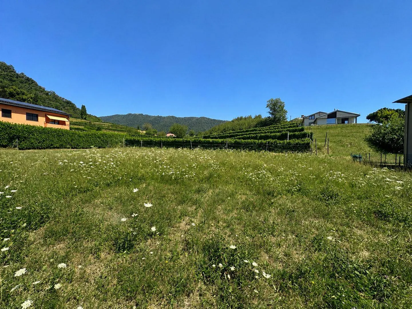 Buildable, flat plot in the green with approved project - Photo 7 of 12