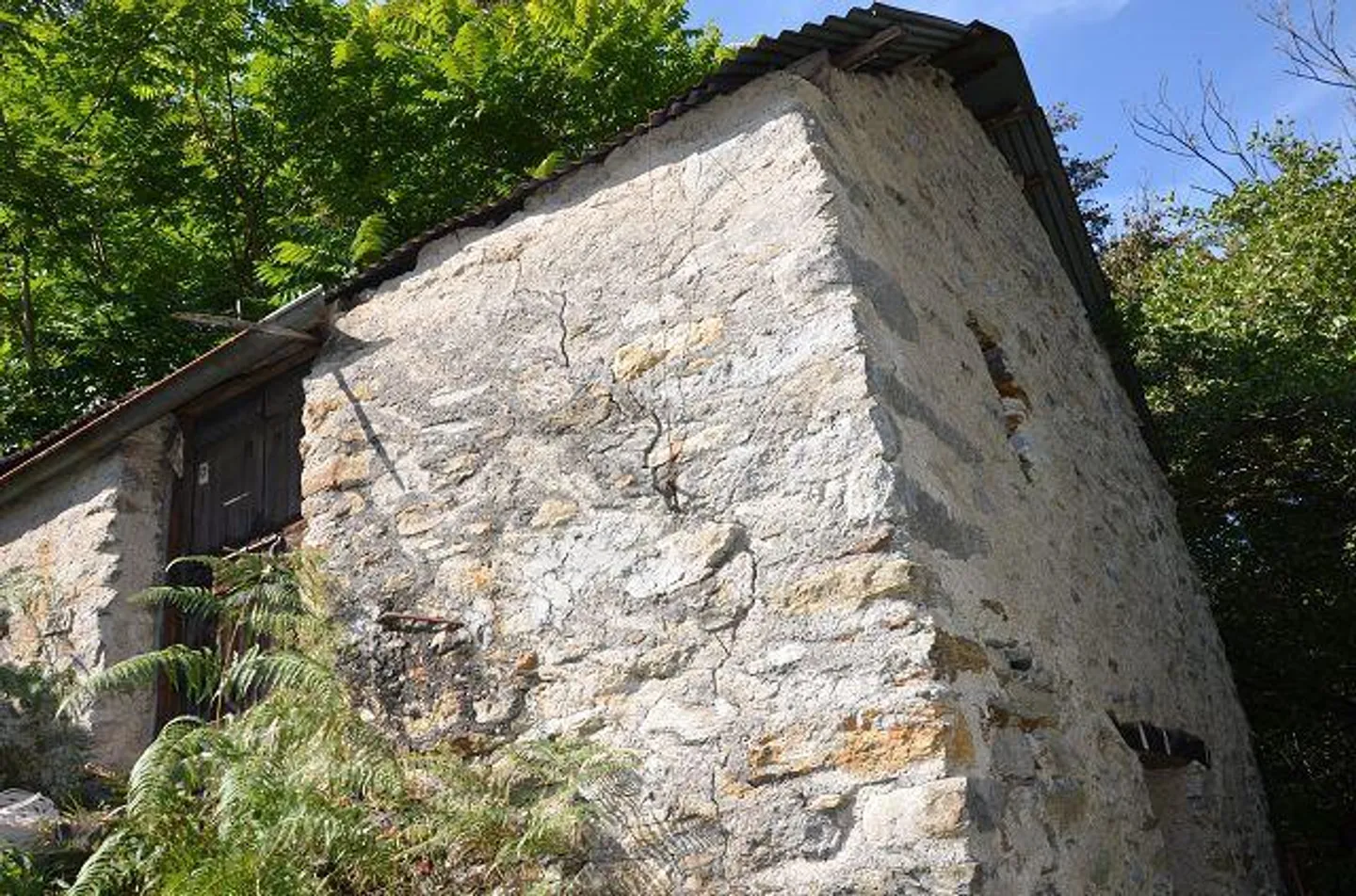 Due stalle da ampliare con vigneto e molto terreno - Foto 30 di 34