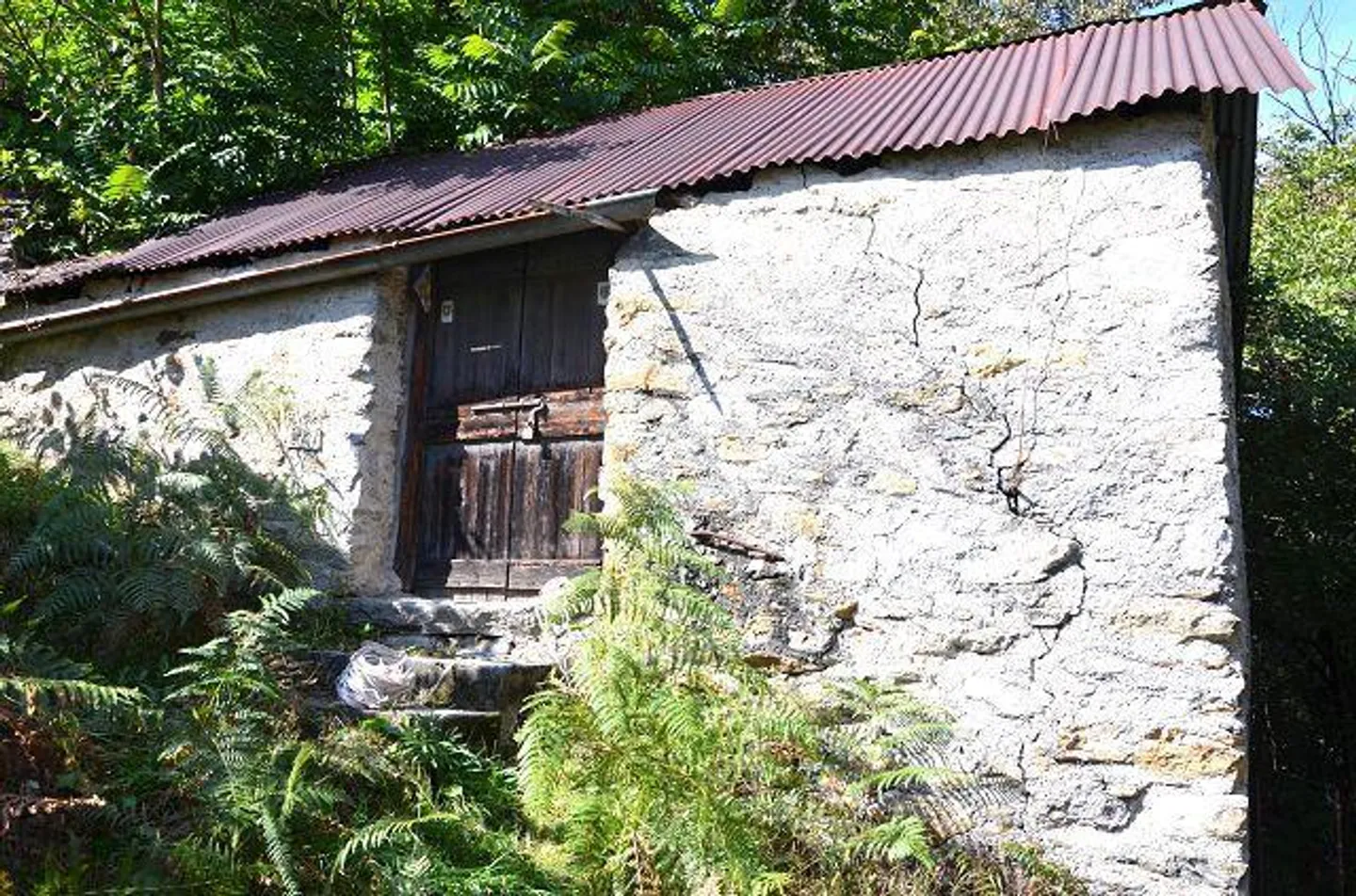 Due stalle da ampliare con vigneto e molto terreno - Foto 31 di 34