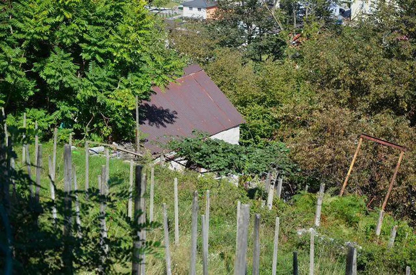 Due stalle da ampliare con vigneto e molto terreno - Foto 33 di 34