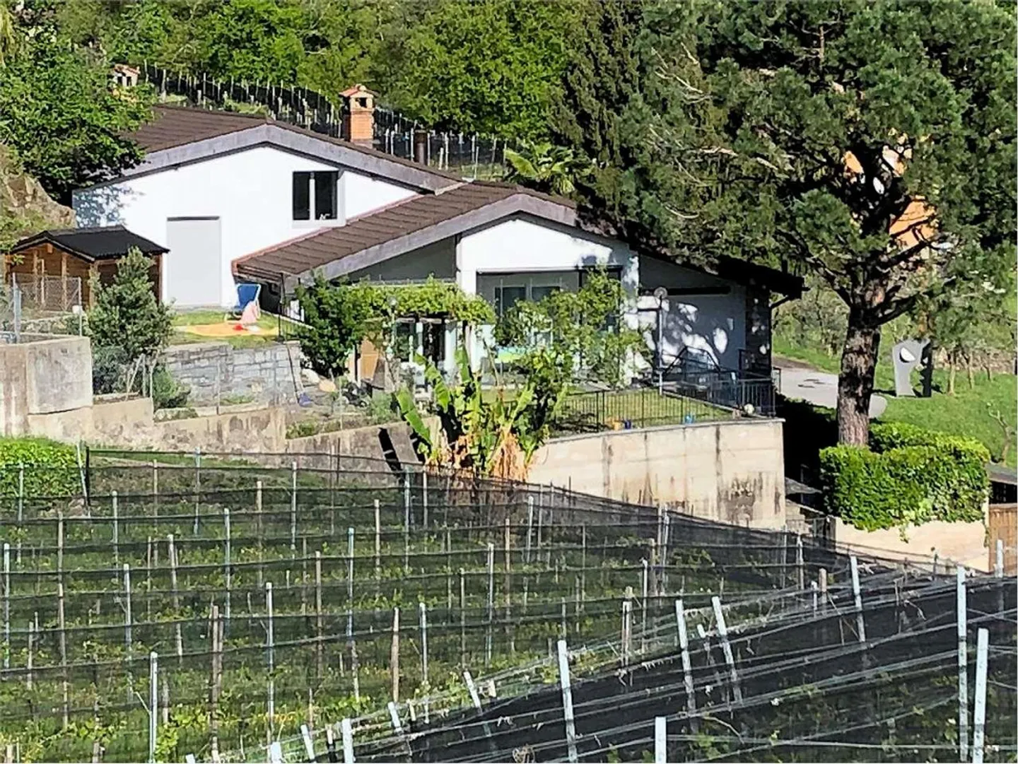 Villa von hohem Standard, umgeben von Grün in Croglio - Foto 6 von 7
