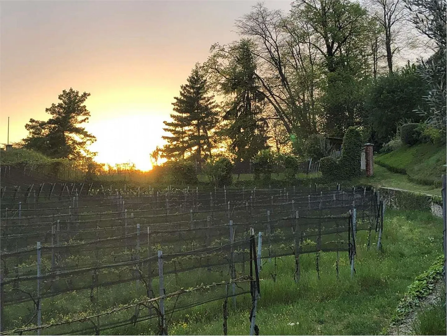 Villa von hohem Standard, umgeben von Grün in Croglio - Foto 7 von 7