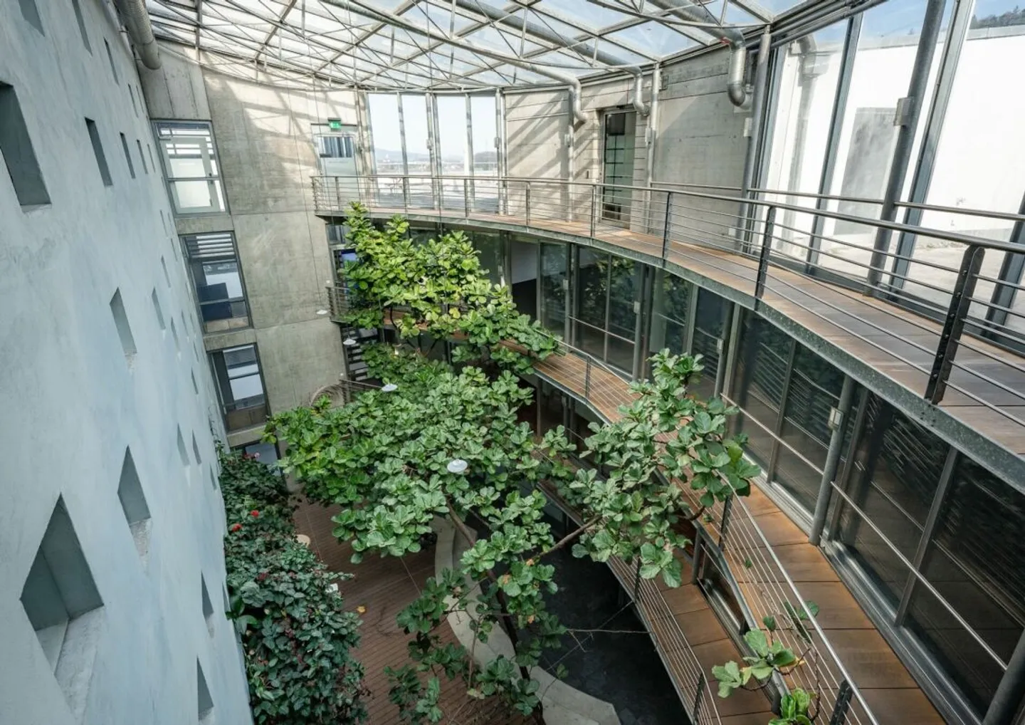 Spazi per uffici | Industriestrasse 42, 5036 Oberentfelden - Foto 14 di 19