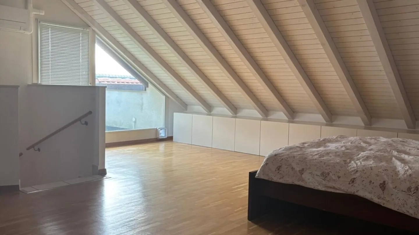 Unique, beautiful and large 6.5-room triplex penthouse in Plan-les-Ouates - Photo 10 of 13